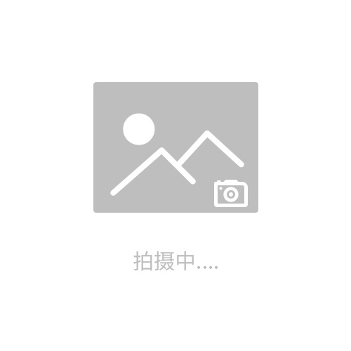 Paatz鉆孔主軸、Paatz攻絲主軸